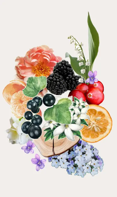 Screenshot 2025-04-18 210116.webp