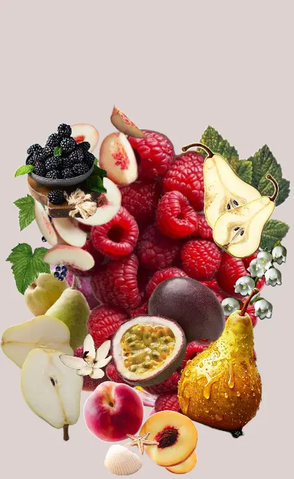 Screenshot 2025-04-19 005646.webp
